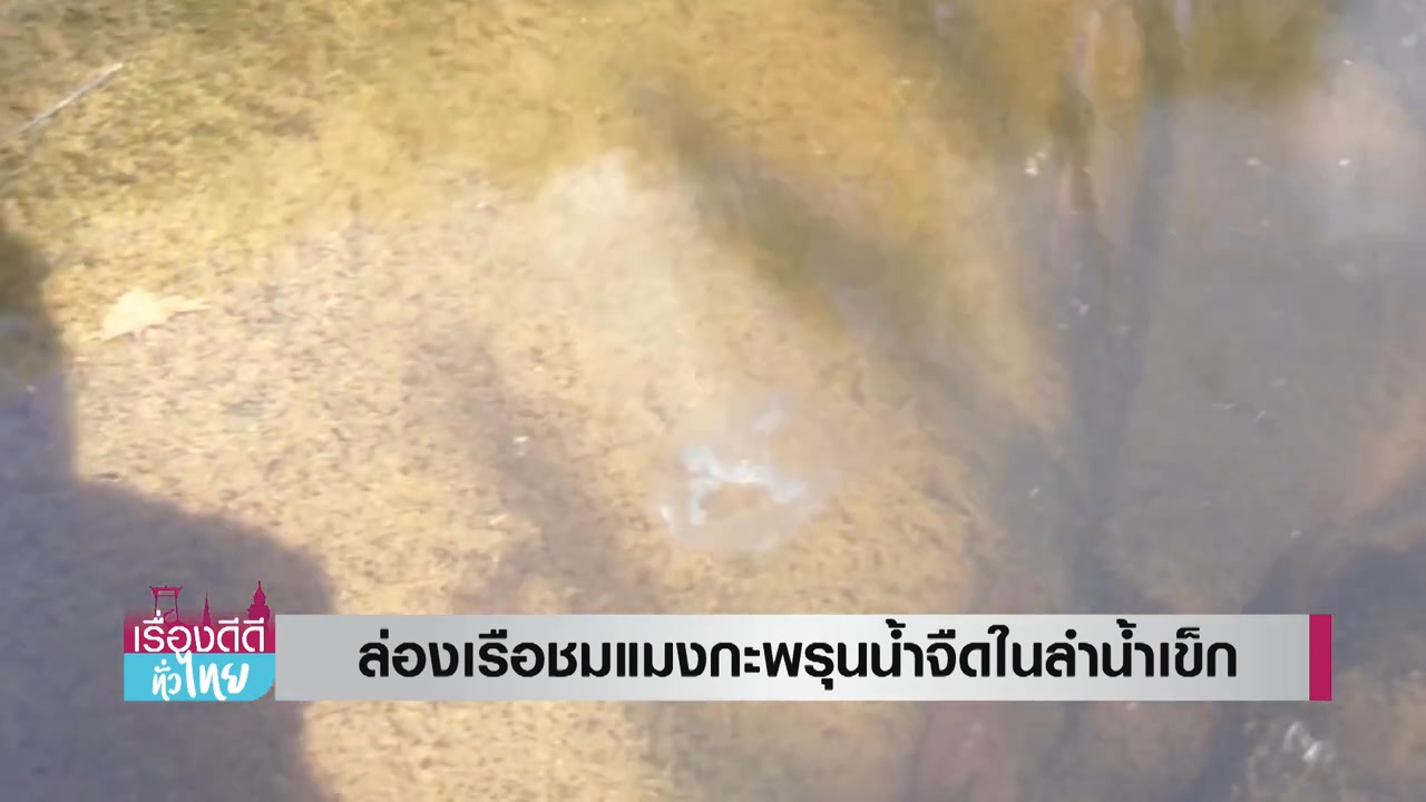 น้องสาวงามโรงเรียนพาเที่ยวชมแมงกะพรุนน้ำจืดเขาค้อ